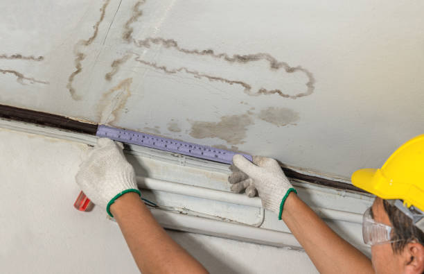 Reliable Water Damage contractor in Sutherland Springs, TX by Water Damage Irwin